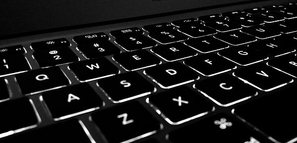 typist transcriptionist stenographer